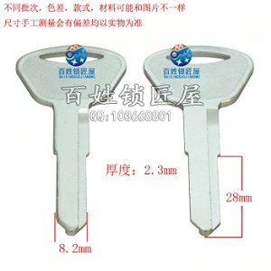 C305 電大單馬 左